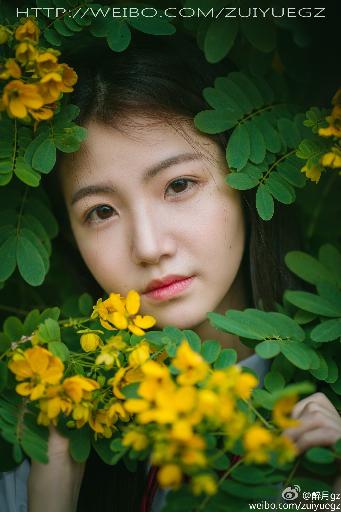 免费视频WWW可观看网站